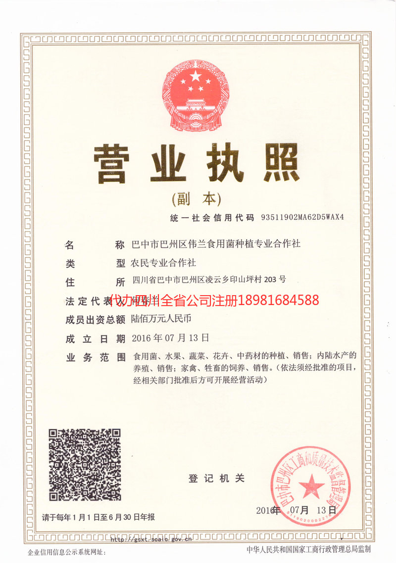 和龙和龙伟兰食用菌种植专业合作社